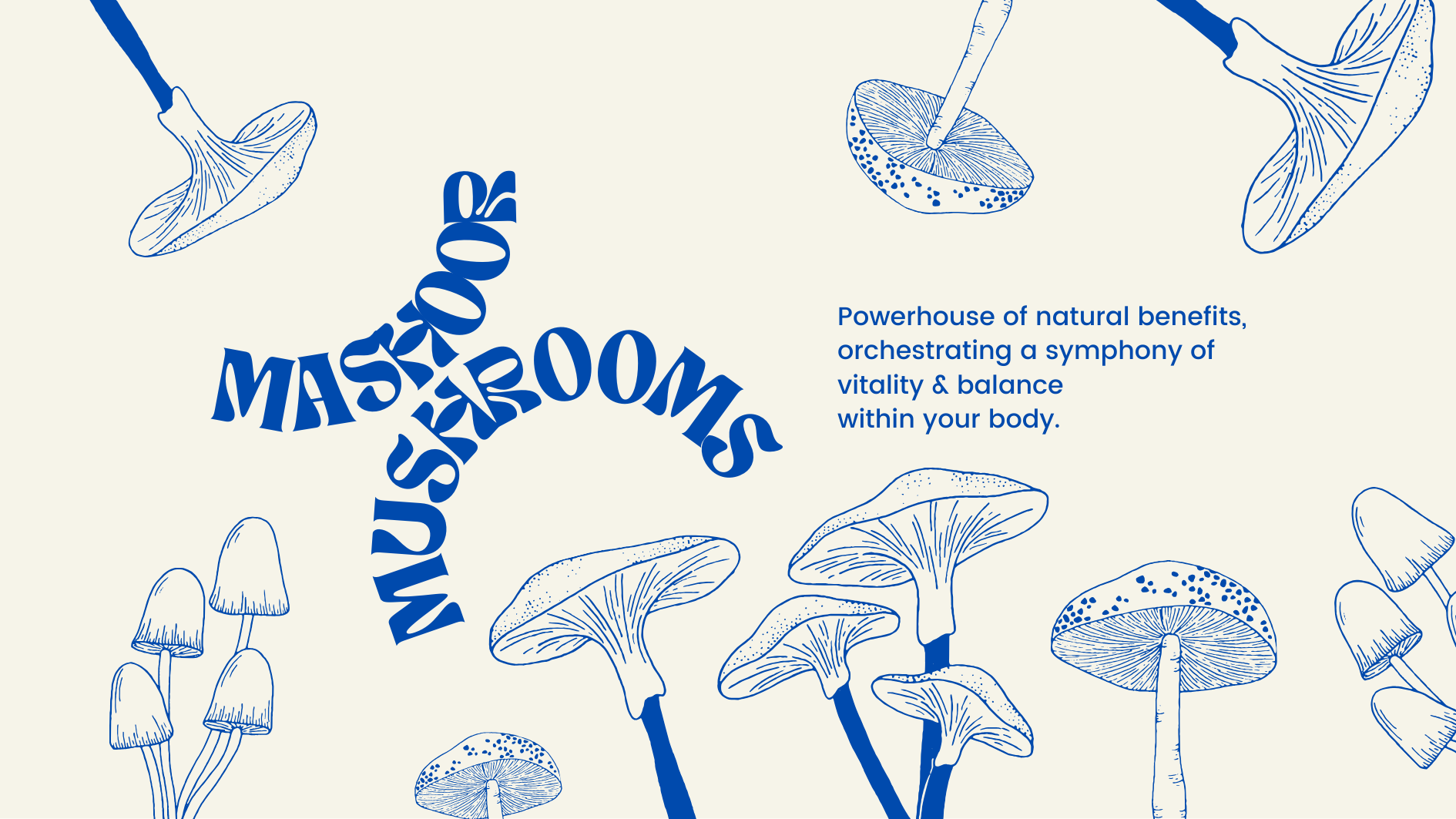 Sana's Mashoor Mushrooms